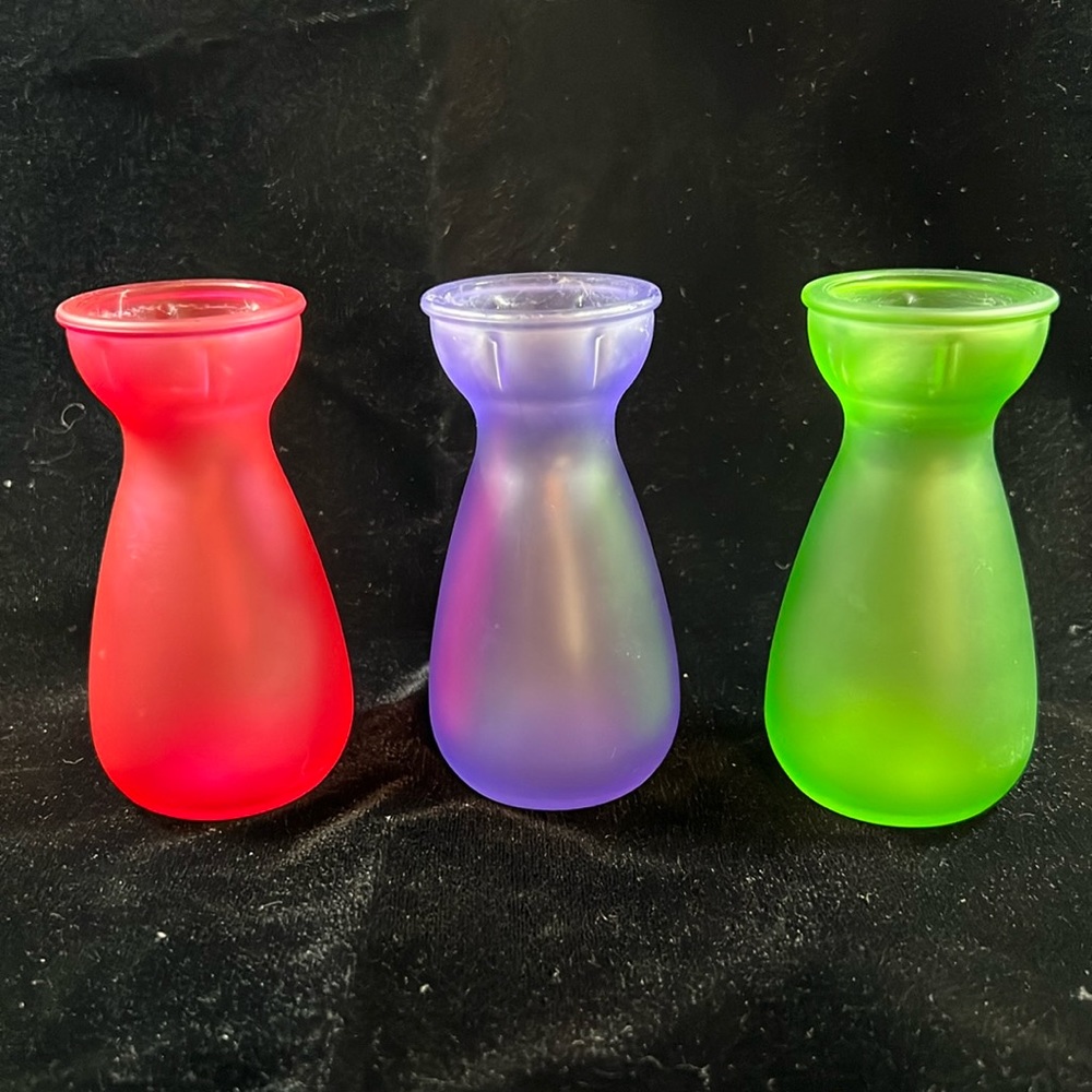 Product of EEC vintage crocus flower bulb vases